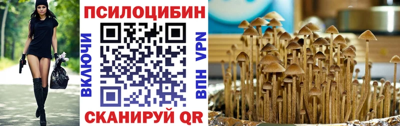 сколько стоит  гидра как зайти  Галлюциногенные грибы прущие грибы  Зеленокумск 
