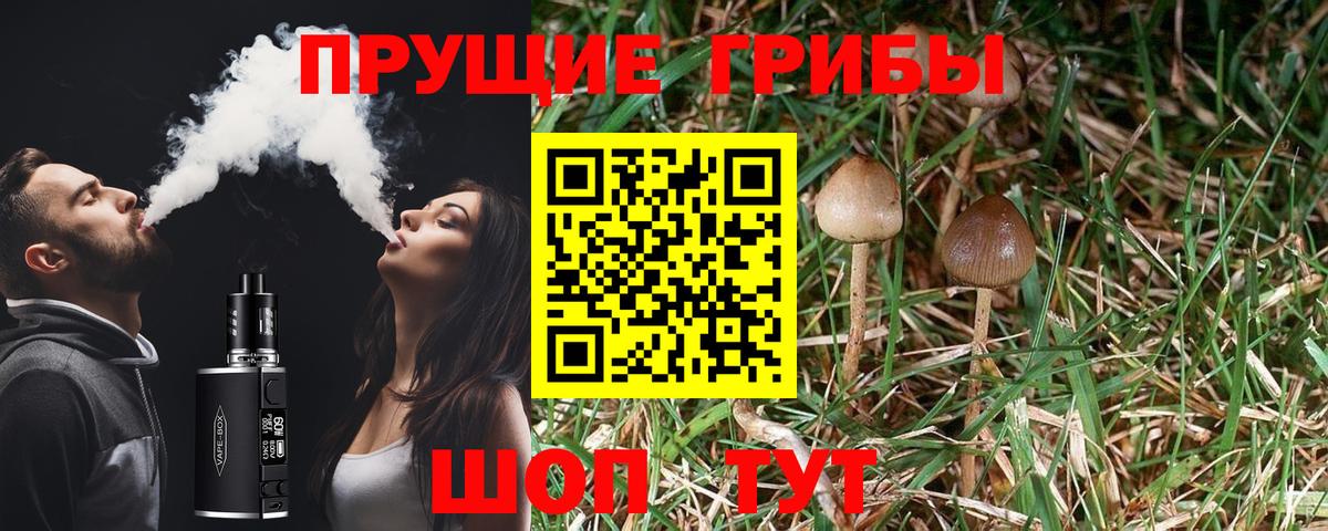 Галлюциногенные грибы MAGIC MUSHROOMS  Псилоцибиновые грибы мухоморы  Зеленокумск  Вход с VPN 